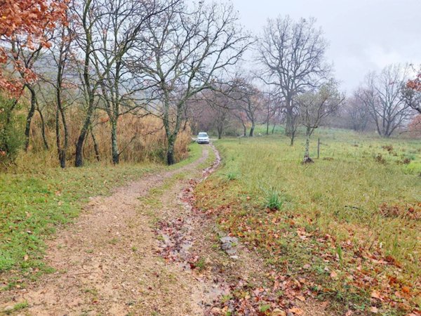 terreno agricolo in vendita a Montecorvino Pugliano