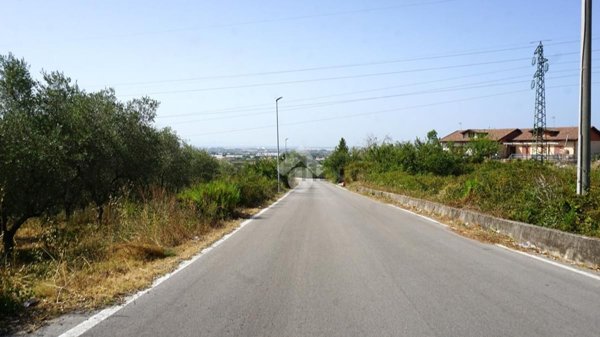 terreno agricolo in vendita a Montecorvino Pugliano