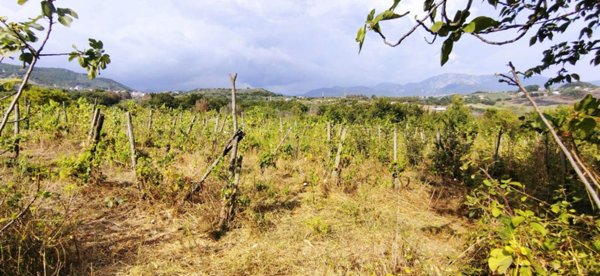 terreno agricolo in vendita a Montecorvino Pugliano in zona Pugliano