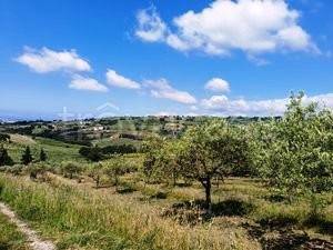 terreno agricolo in vendita a Montecorvino Pugliano