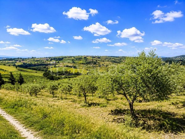 terreno agricolo in vendita a Montecorvino Pugliano