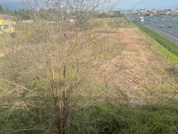 terreno agricolo in vendita a Montecorvino Pugliano in zona Pagliarone