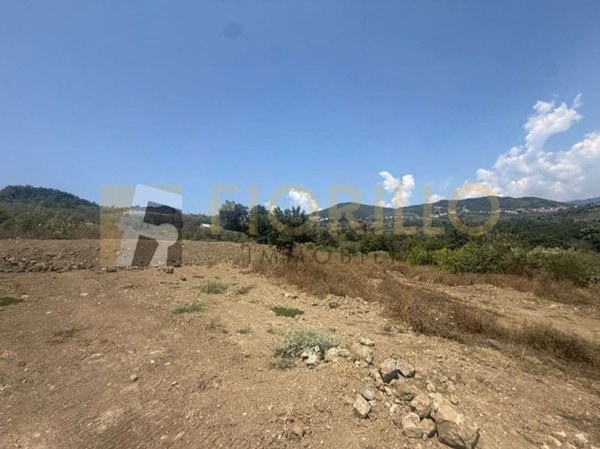 terreno agricolo in vendita a Montecorvino Pugliano