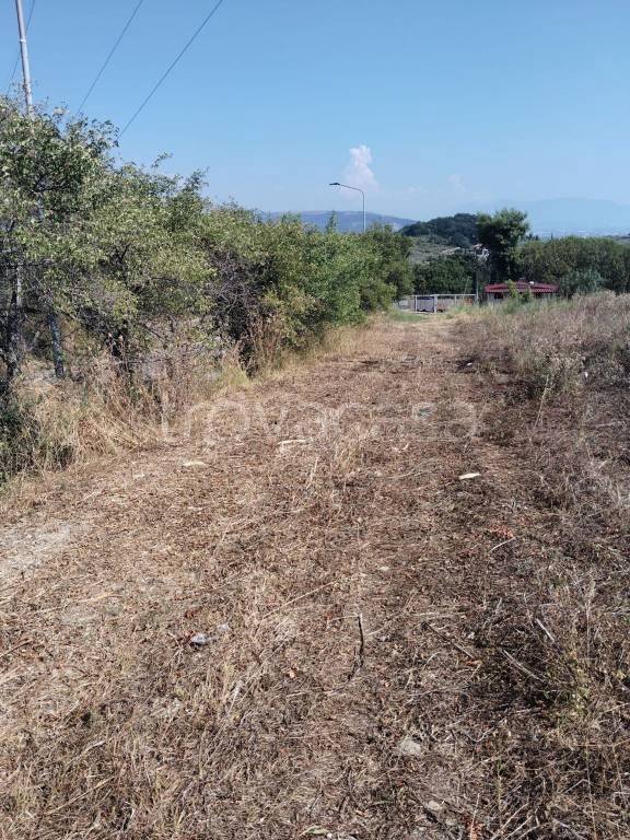 terreno agricolo in vendita a Montecorvino Pugliano