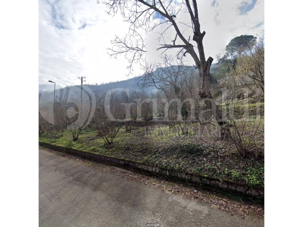 terreno agricolo in vendita a Montecorvino Rovella