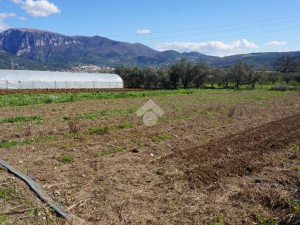 terreno agricolo in vendita a Montecorvino Rovella in zona Macchia