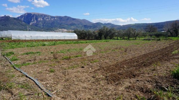 terreno agricolo in vendita a Montecorvino Rovella in zona Macchia