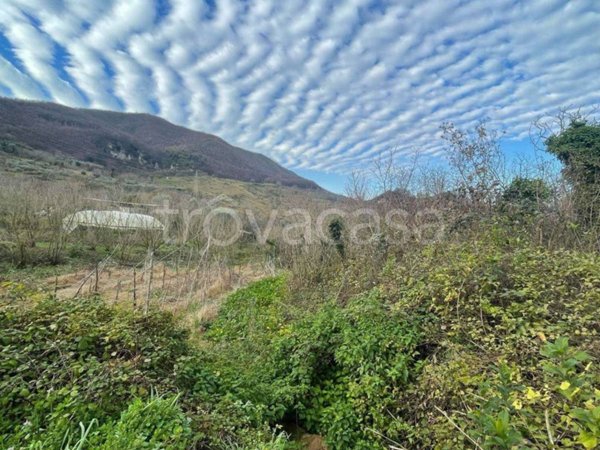 terreno agricolo in vendita a Montecorvino Rovella