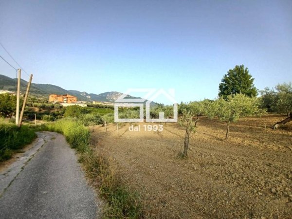 terreno agricolo in vendita a Montecorvino Rovella