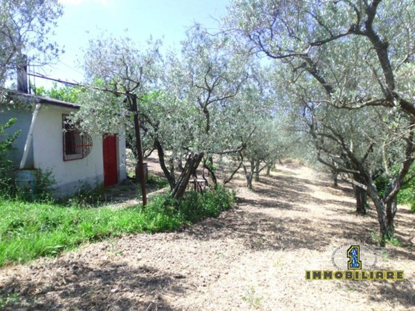 terreno agricolo in vendita a Montecorvino Rovella in zona Pezze
