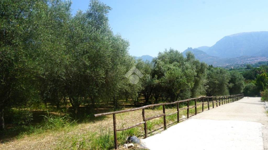terreno agricolo in vendita a Montecorvino Rovella in zona Macchia