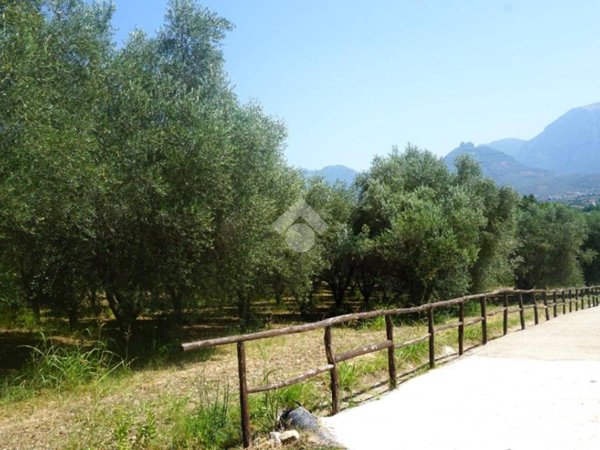 terreno agricolo in vendita a Montecorvino Rovella in zona Macchia