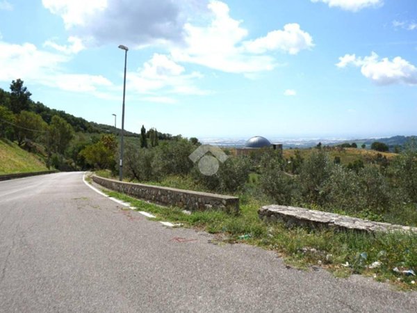 terreno agricolo in vendita a Montecorvino Rovella in zona Pezze