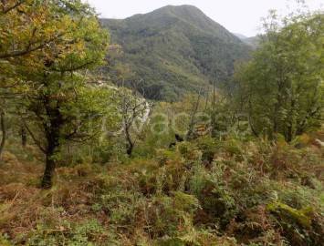 casa indipendente in vendita a Montecorvino Rovella in zona Macchia
