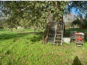 terreno agricolo in vendita a Montecorvino Rovella in zona Macchia