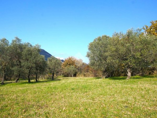 terreno agricolo in vendita a Montecorvino Rovella in zona Pezze