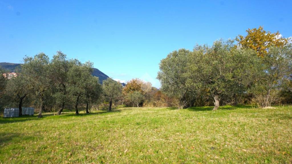 terreno agricolo in vendita a Montecorvino Rovella in zona Pezze