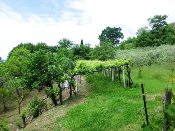 terreno agricolo in vendita a Montecorvino Rovella