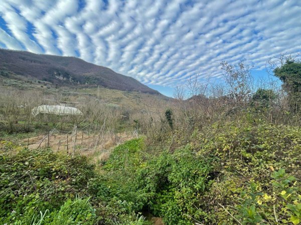 terreno agricolo in vendita a Montecorvino Rovella