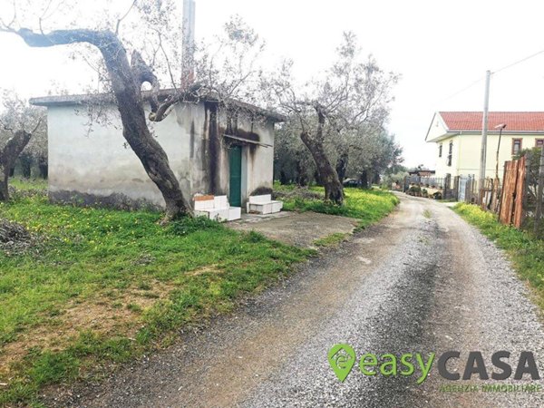 terreno agricolo in vendita a Montecorvino Rovella in zona Macchia