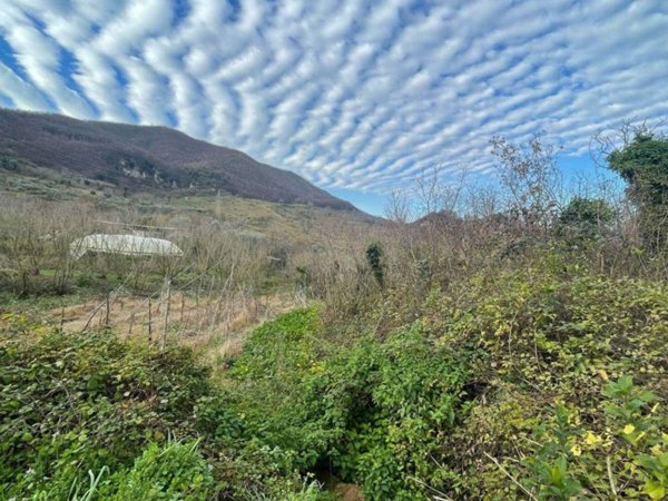terreno agricolo in vendita a Montecorvino Rovella