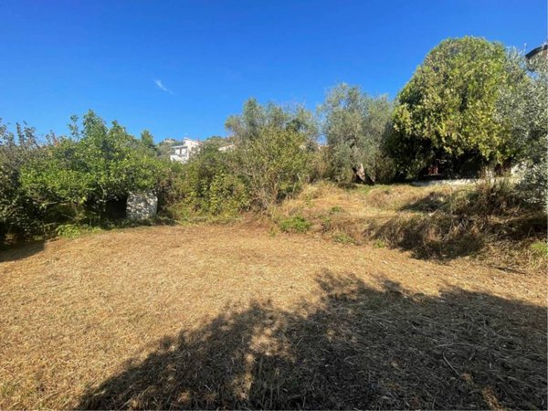 terreno agricolo in vendita a Montecorvino Rovella in zona San Martino
