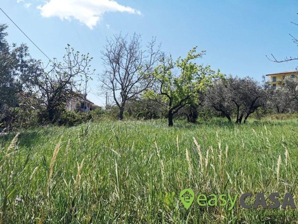 terreno agricolo in vendita a Montecorvino Rovella