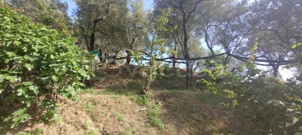 terreno agricolo in vendita a Montecorvino Rovella