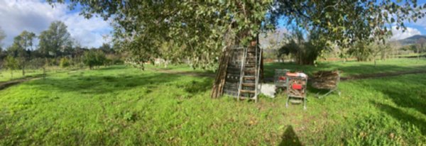terreno agricolo in vendita a Montecorvino Rovella in zona Macchia