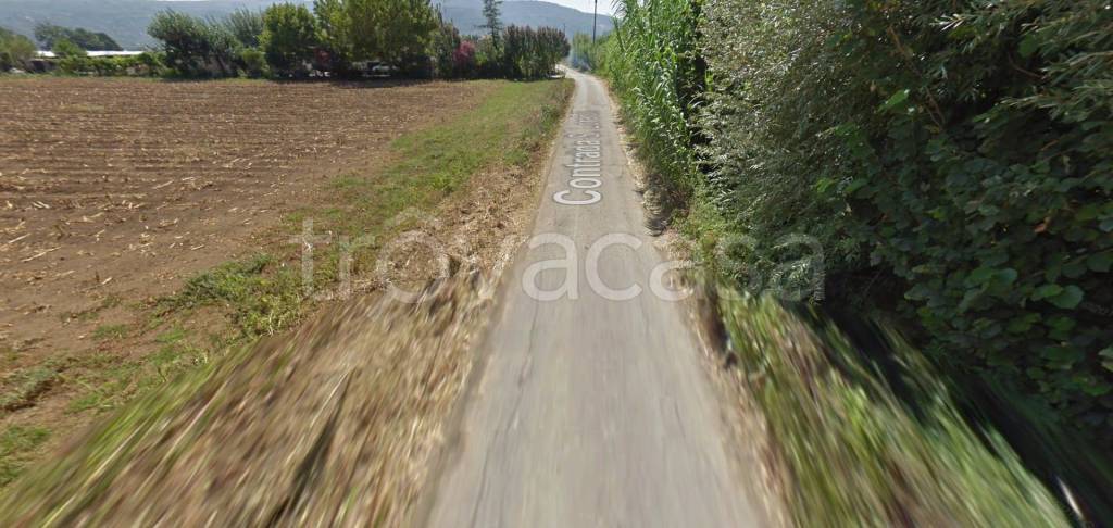 terreno agricolo in vendita a Montecorvino Rovella