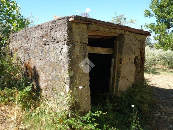 terreno agricolo in vendita a Montecorvino Rovella in zona Pezze