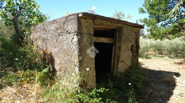 rudere in vendita a Montecorvino Rovella in zona Pezze