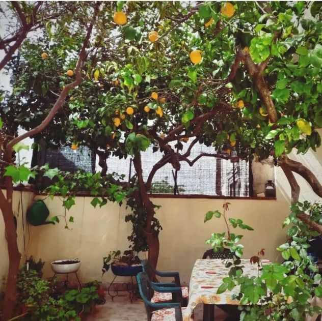 appartamento in vendita a Montecorvino Rovella
