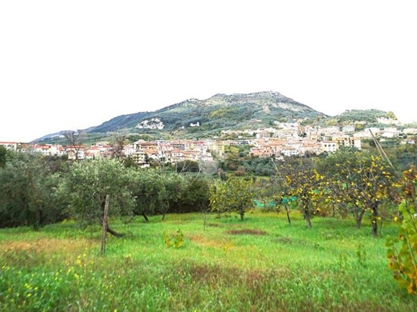 terreno agricolo in vendita a Montecorvino Rovella in zona Pezze