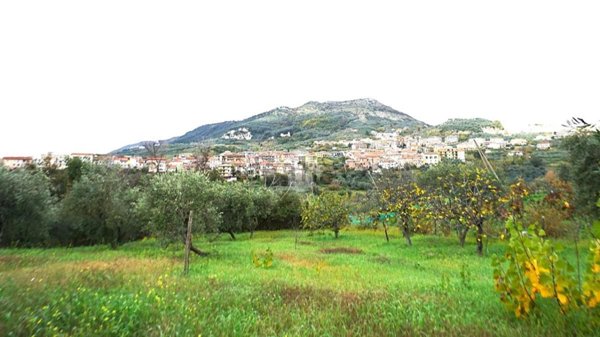terreno agricolo in vendita a Montecorvino Rovella in zona Pezze