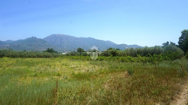 terreno agricolo in vendita a Montecorvino Rovella in zona Macchia