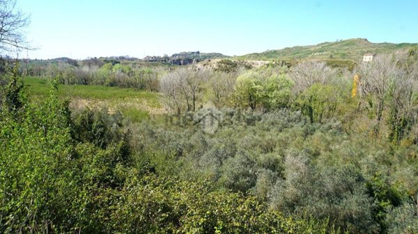 terreno agricolo in vendita a Montecorvino Rovella in zona Macchia