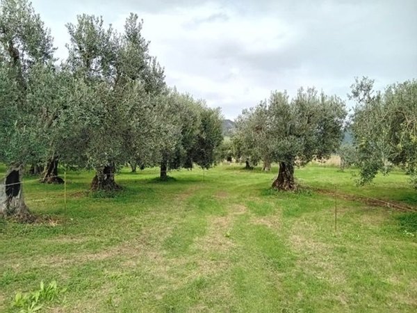 ufficio in vendita a Montecorvino Rovella