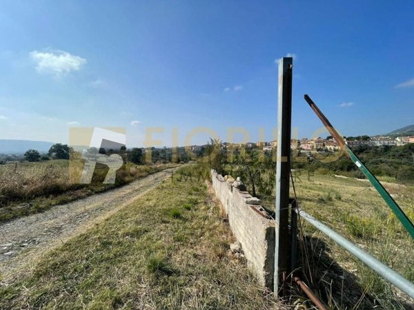 terreno agricolo in vendita a Montecorvino Rovella in zona San Martino