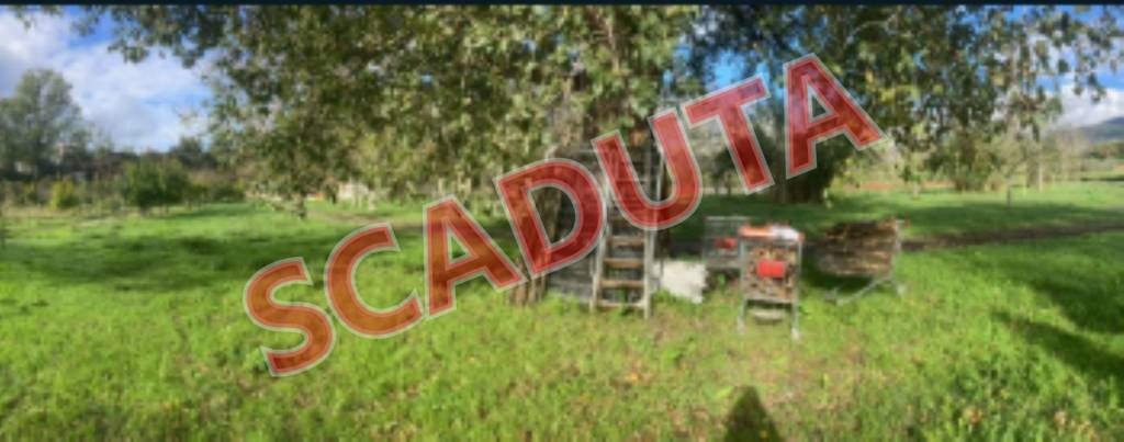 terreno agricolo in vendita a Montecorvino Rovella