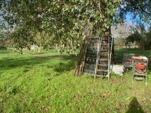 terreno agricolo in vendita a Montecorvino Rovella in zona Macchia