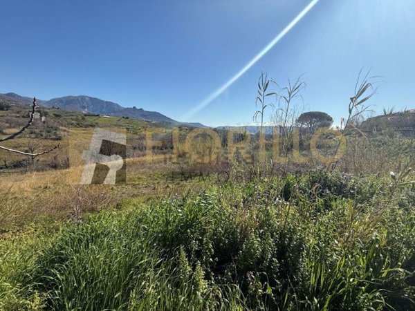 terreno agricolo in vendita a Montecorvino Rovella in zona San Martino