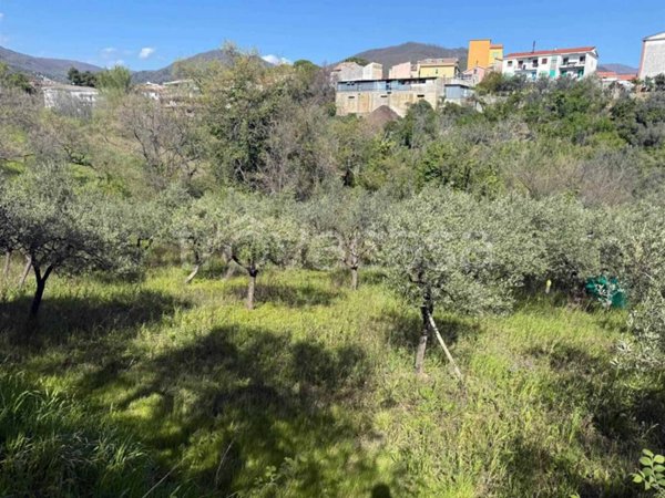 terreno agricolo in vendita a Montecorvino Rovella