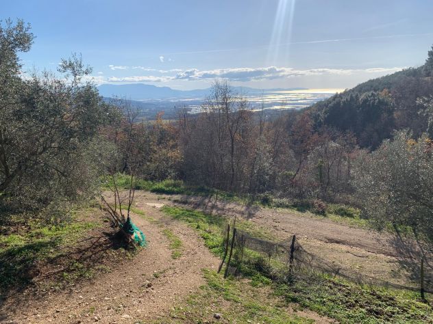 terreno agricolo in vendita a Montecorvino Rovella