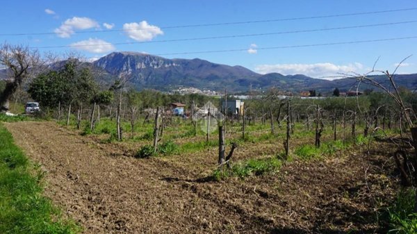 terreno agricolo in vendita a Montecorvino Rovella in zona Macchia