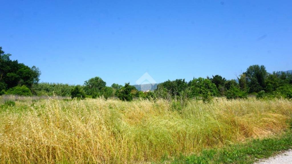 terreno agricolo in vendita a Montecorvino Rovella