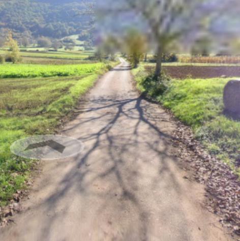 terreno agricolo in vendita a Montesano sulla Marcellana