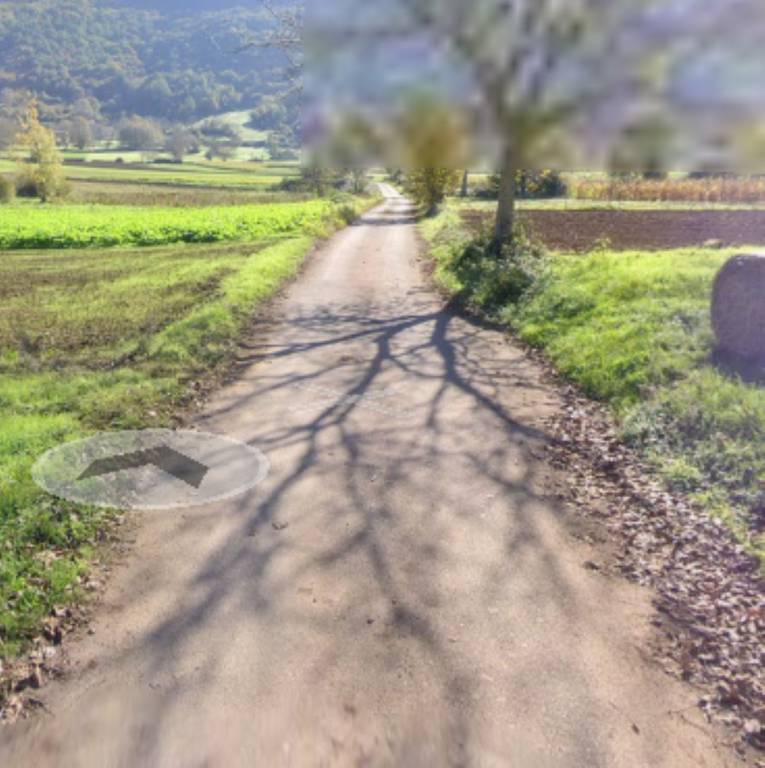 terreno agricolo in vendita a Montesano sulla Marcellana