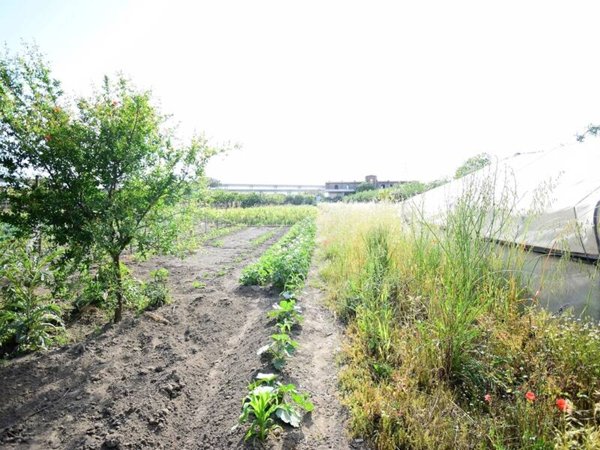 terreno agricolo in vendita a Nocera Inferiore