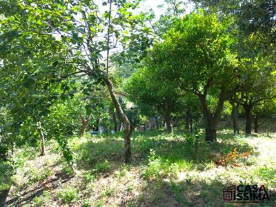 terreno agricolo in vendita a Nocera Inferiore